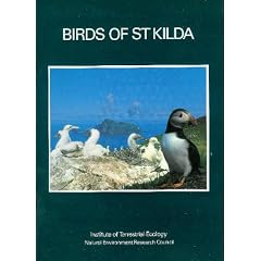 Birds of St. Kilda