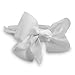 Teachers Pet Grosgrain Ribbon Bow Headband