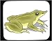 Decorated Mouse Pad with frog, toad