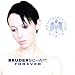 Anklicken zum Vergrößeren: Bruderschaft - Forever (Audio CD)