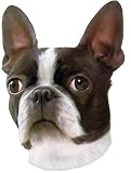 Boston Terrier Bumper Magnet2008