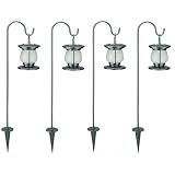 Buy Kettle Lantern Solar Accent Lights - Set of 4 by Light Up The Night