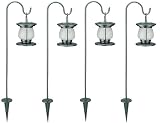 FTS Value Shipping - Kettle Lantern Solar Accent Lights - Set of 4 - 162-200-12