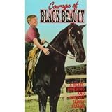 Courage of Black Beauty