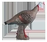 Rinehart® Tom Turkey Target