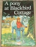 A pony at Blackbird Cottage