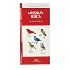 Missouri Birds: An Introduction to Familiar Species (State Nature Guides)