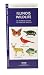 Illinois Wildlife: An Introduction to Familiar Species (State Nature Guides)