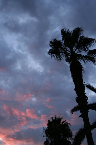 Spezzando ogni cuore (Italian Edition)