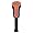 Oregon State Beavers