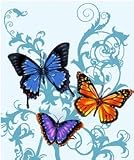 New Signature Collection Queen Size Butterfly Korean Mink Blanket