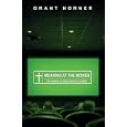 Meaning at the Movies: Becoming a Discerning Viewer by Grant Horner