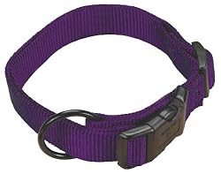 Hamilton 1-Inch Adjustable Dog Collar, Large, Fits 18-Inch by 26-Inch, Purple