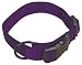 Hamilton 1-Inch Adjustable Dog Collar, Large, Fits 18-Inch by 26-Inch, Purple
