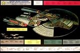 Empire 16454 Star Trek Enterprise, 1701 D Cut Film-Movie-Kino-Poster - 100 x 70 cm
