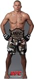 Ultimate Fighting Championship (UFC) Standups