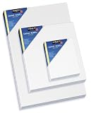 Sargent Art 90-3001 8-Inch by 10-Inch Canvas Panel, 100-Percentage Cotton