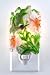 Night Light-Humingbird with Flowers Night Light,This is High Quality Unique Design, Gorgeous,Elegant and Beautiful for Both Functional & Decoration,Product Comes w/Light Bulb ,Safety with UL Approved, Easy to Turn it On-Off. 100% Satisfaction Guaranteed !