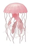Mauve Stinger Jellyfish