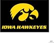 Iowa Hawkeyes College Style Tufted Floor Rug - NCAA College Athletics Fan Shop Team Merchandise