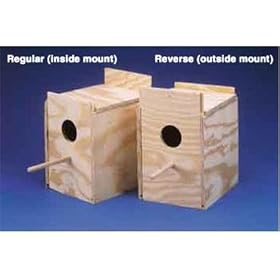 Ware Manufacturing Wood Parakeet Regular Nest Box, Keet