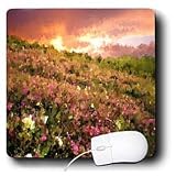 Dinzas Art Nature - Beautiful Nature - Mouse Pads
