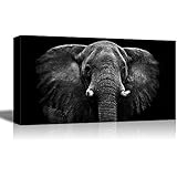 Wall26 - Canvas Prints Wall Art - Dramatic Elephant | Modern Wall Decor/ Home Decoration Stretched Gallery Canvas Wrap Giclee Print. Ready to Hang - 24" x 48"