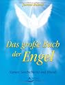 Das gro&szlig;e Buch der Engel - Namen, Geschichte(n) und Rituale. U. a. mit einer Einf&uuml;hrung in verschiedene Engellehren und einem Lexikon mit &uuml;ber 1800 ... nebst ihrer Bedeutung und Zuordnung