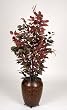 Artificial 4 ft. Capensia Floor Plant