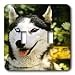 Dogs Siberian Husky - Siberian Husky - Light Switch Covers - double toggle switch