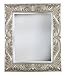 Kenroy Home 60030 Mirror