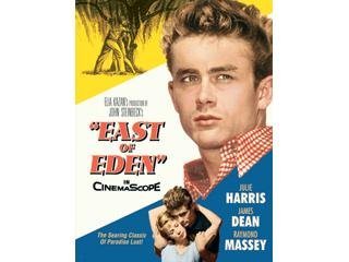 play video on Amazon Video on Demand