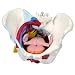 3B Scientific H20/4 6 Part Female Pelvis Model with Ligaments, Vessels, Nerves, Pelvic Floor, Organs, 7.5