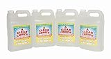Clear Choice 4138 Instant Spot Remover - 1 Gallon, (Pack of 4)
