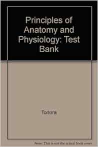 Principles of anatomy and physiology essay image