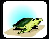 Mouse Pad with green, reptile, crawling, sand, turtle