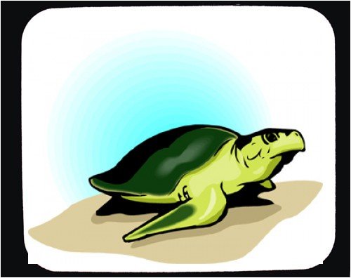 Mouse Pad with green, reptile, crawling, sand, turtle