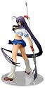一騎当千Dragon Destiny 関羽雲長 (1/8スケールPVC塗装済み完成品)