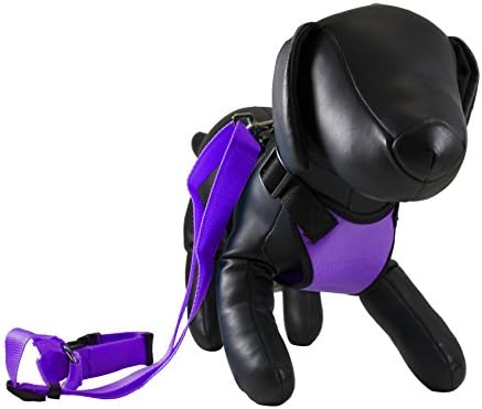 Petcessory PHB-001-PUR-L Travel Harness with Leash, Large, Purple
