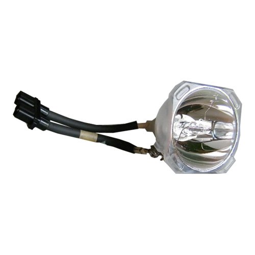 Imagen 1 de PHOENIX 0