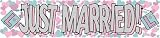 Review Expression factory  / Giant Banners | Just Married Giant Banner