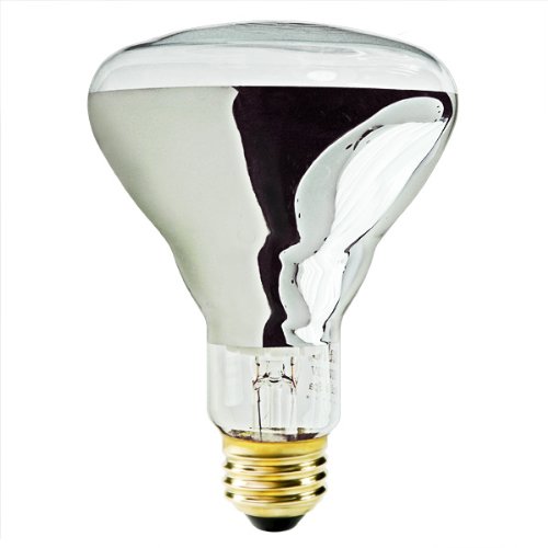 100 Watt BR30 Reflector Flood 12 Volt Medium Base Incandescent Light Bulb Halco 104026 410mySW3mLL 100 Watt BR30 Reflector Flood 12 Volt Medium Base Incandescent Light Bulb Halco 104026