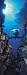 Brewster 2-1002 Shark 2-Part Door Mural, 3-Foot 2-Inch by 7-Foot 3-Inch