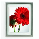 Cheap  Umbra Document 11-Inch by 14-Inch Wall Frame, Nickel
