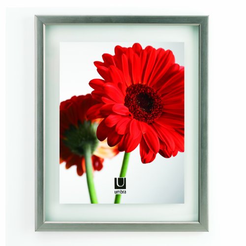 Best Price Umbra Document 11-Inch by 14-Inch Wall Frame, Nickel