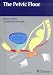 The Pelvic Floor