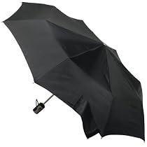 Totes Titanium Auto-Open/Close Umbrella
