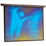 Draper 116194 Targa Hardwired Electric Projection Screen, 16:9 - High Contrast Grey (161 Inches)