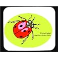Mouse Pad with ladybug, ladybird, beetle, insect