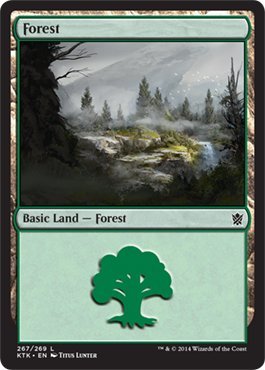 Magic: the Gathering - Forest (267) - Khans of Tarkir